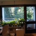 Renting out: Yksiö 30 m2 Espoon Tontunmäessä