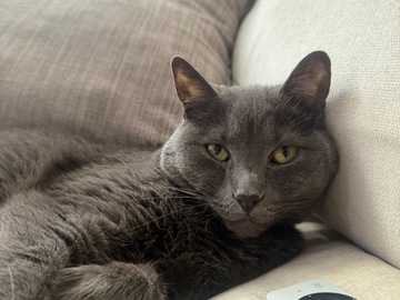  : Meeko