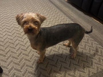   : Bella