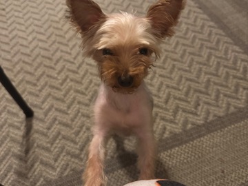   : Tink