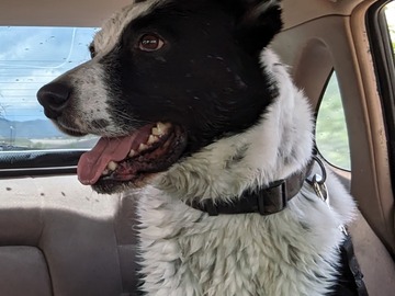   : Max