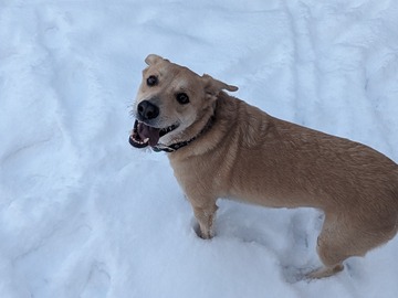   : Toby