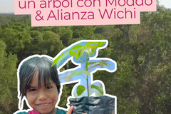 Radar: PLANTA UN ARBOL CON MODDO & ALIANZA WICHI