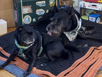   : Alamo & Margo