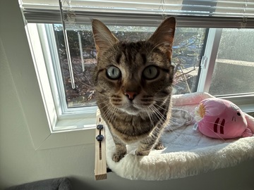   : Zira