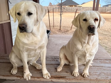   : Ranger and Oakley