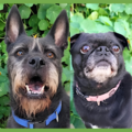  : Alamo and Margo