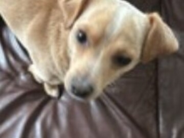   : Tucker