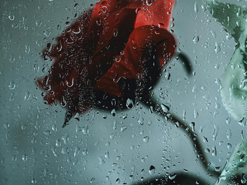 Selling: What Does He Regret About the Way He Treated You?