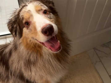  : Cooper
