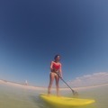 For Rent: 10'6" Stand Up Paddle Rental