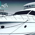Offering: Executive Marine Detailing - Clearwater, FL