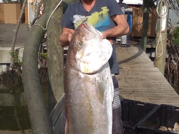 Offering: Catch of a lifetime - Palm Harbor, FL