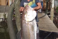 Offering: Catch of a lifetime - Palm Harbor, FL