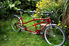 Tandem bicycle rental: Touren-Tandem - das rote sportliche in Leipzig mieten