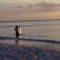 Offering: Fishing guides! - Naples, FL
