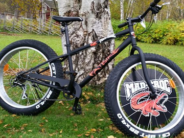 Renting out (company listing): Aavasaksa Experience / Fatbike