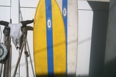 For Rent: 6'7" ULI Inflatable Surfboard Fish