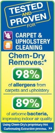 Preview Carpet Cleaning Service Savannah GA Only