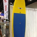 For Rent: 8'6" GT Paddleboard !