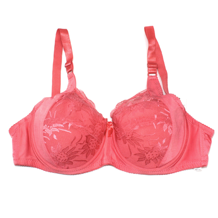 (66) Women Wholesale Boost Push Up Bras Lingerie Underwear