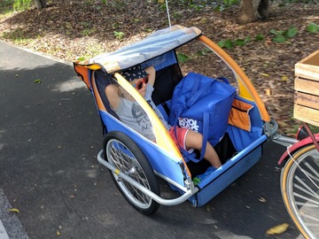 Daily Rate: Pacific bike trailer