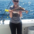 Offering: 1/2 day Offshore Fishing Charter 6 hrs