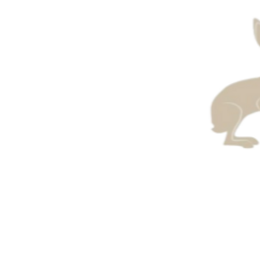 CH Mediation Ireland	