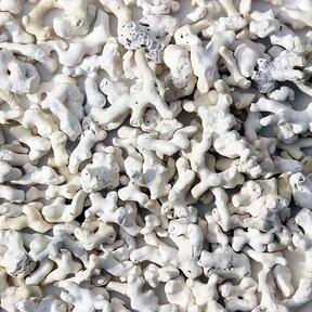 Caltron Clays & Chemicals