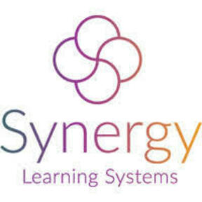Synergy Learning Systems