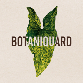 Le Botaniquard