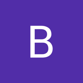 Bruno V