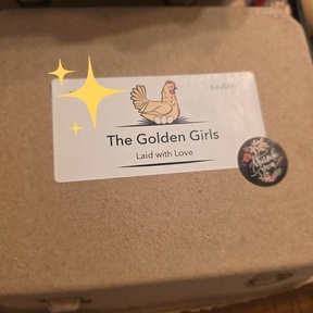 The Golden Girls EST 2019