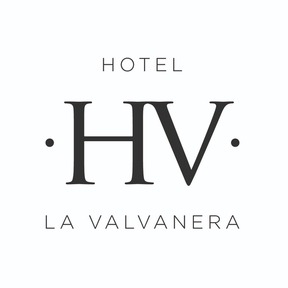 Hotel  V