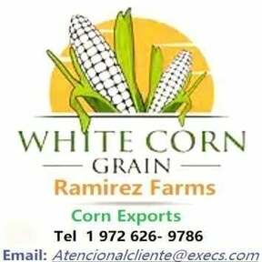 Exporters of Corn and Seeds