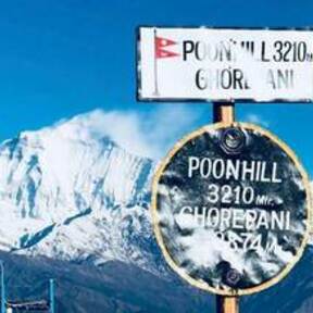 Blue Himalaya Tours and Travels