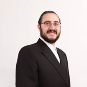 Meilech Singer
