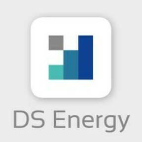 DS Energy