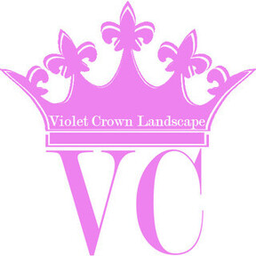 Violet Crown Austin