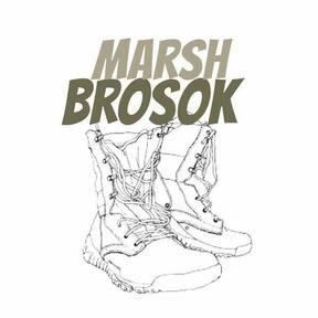 Marsh Brosok Ukraine Kharkiv