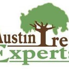 Austin Tree Experts 