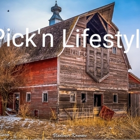Pick'n Lifestyle