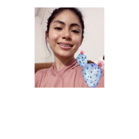 Heidy T
