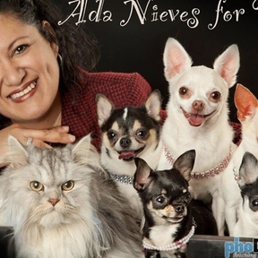 Ada Nieves for Pets