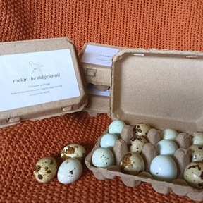 Rockin the Ridge Quail Eggs