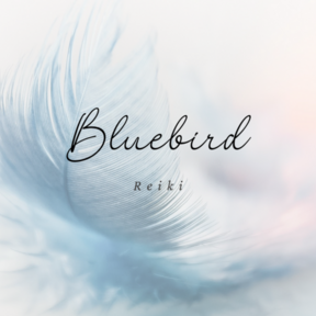 Bluebird Reiki