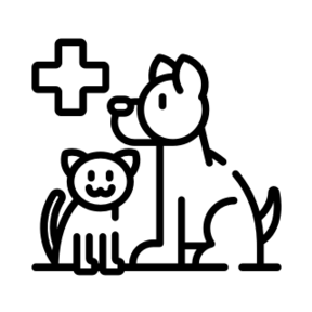 Weterynaria na Upgrademe-med