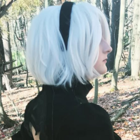 Mereberrycos