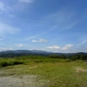 まみ