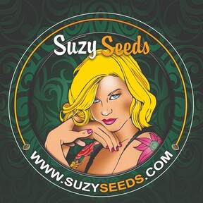 SuzySeeds
